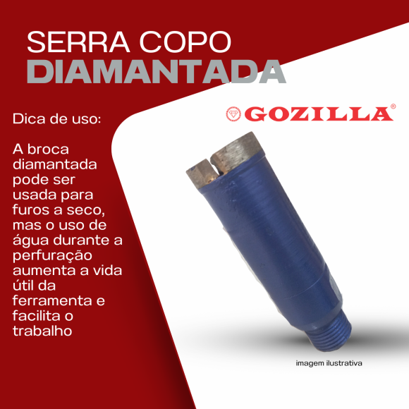 https://www.gzlshop.com.br/image/cache/data/eftr/Img_ftr_rp_54501-580x580.PNG